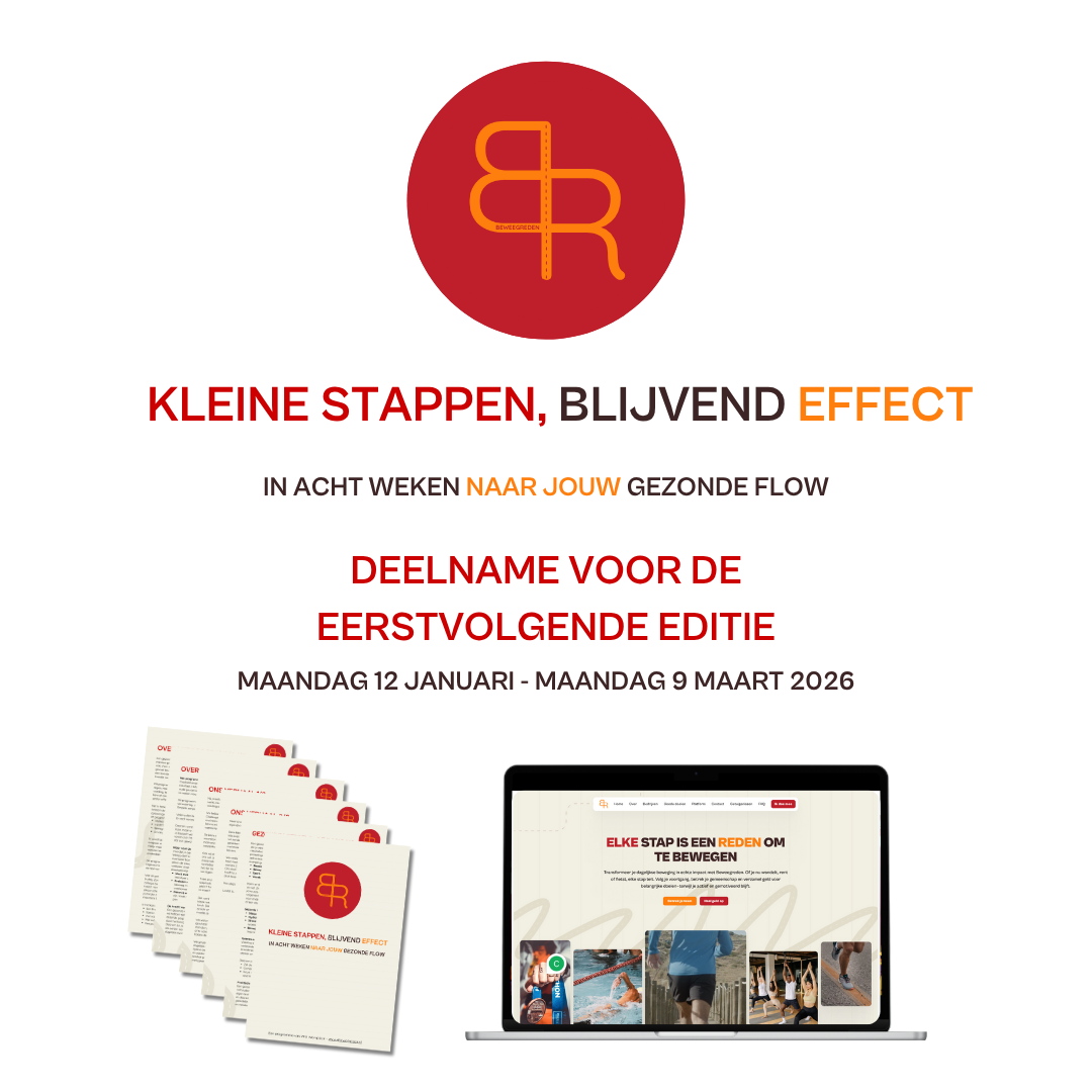Deelname ticket - Kleine Stappen, Blijvend Effect