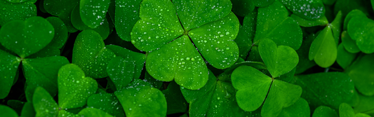 20 maart: Internationale Dag van het Geluk