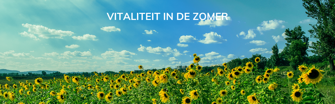 Vitaliteit in de zomermaanden